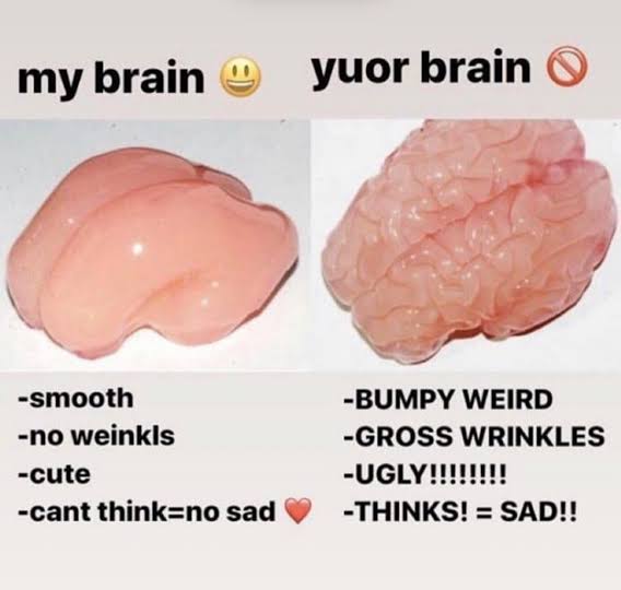 my brain: smooth, no weinkls, cute, cant think = no sad. yuor brain: bumpy weird, gross wrinkles, ugly, thinks = sad.